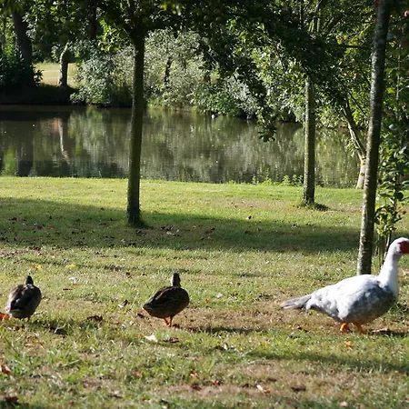 בית הארחה Le Manoir De Herouville 3*