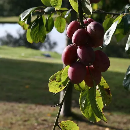 Le Manoir De Herouville בית הארחה 3*
