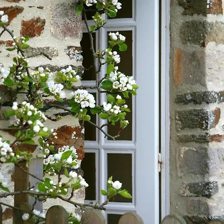 בית הארחה Le Manoir De Herouville Litteau