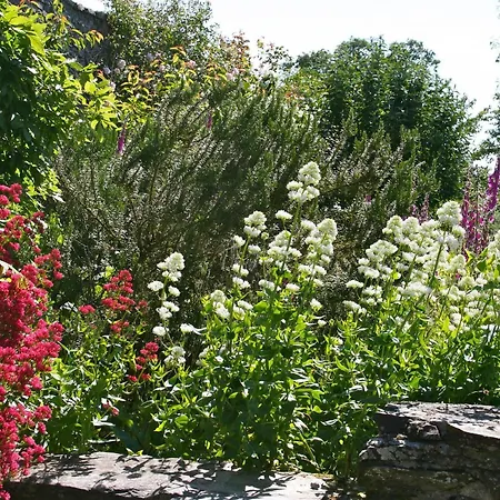 בית הארחה Le Manoir De Herouville